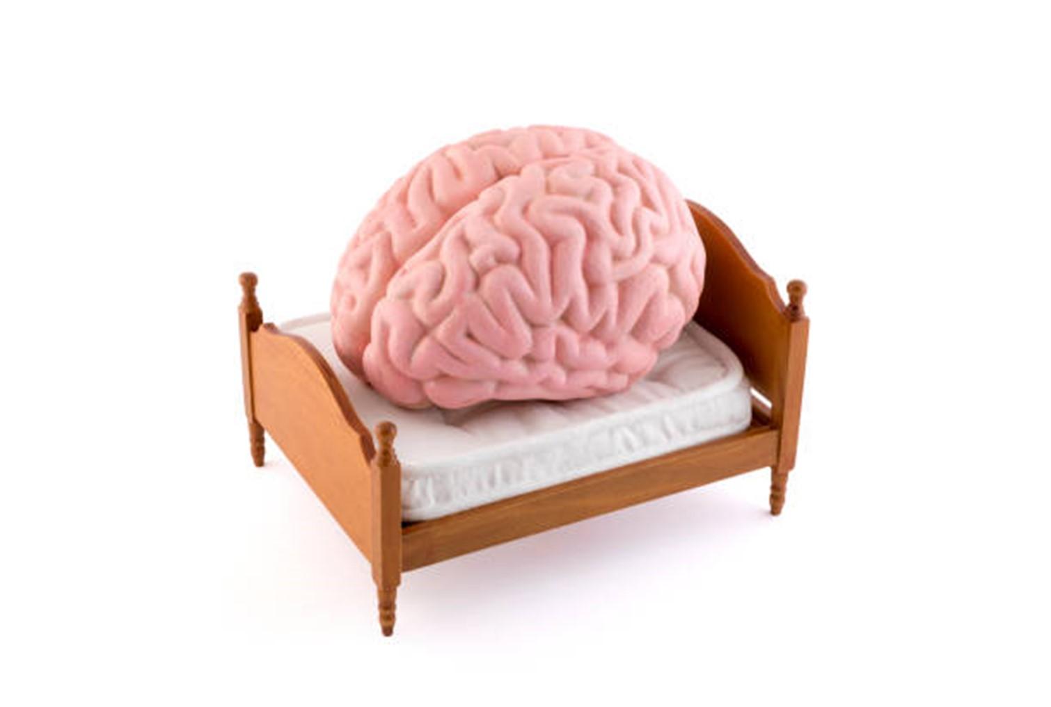 Brain on a bed